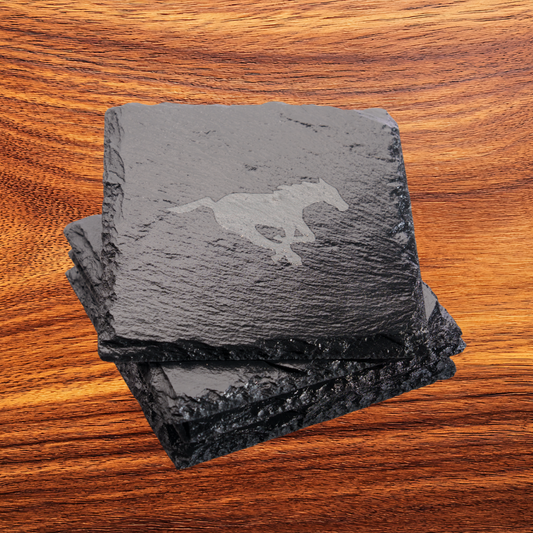 Officially Licensed CFL Slate Coasters - 4 pack